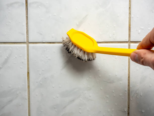 Best Fast Mold Removal  in Duenweg, MO