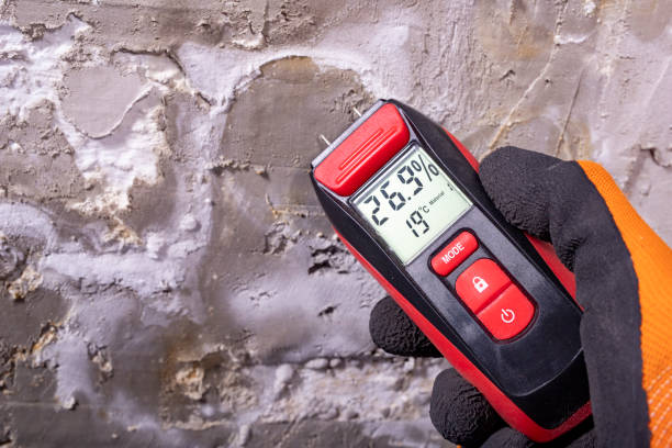Best Attic Mold Removal  in Duenweg, MO