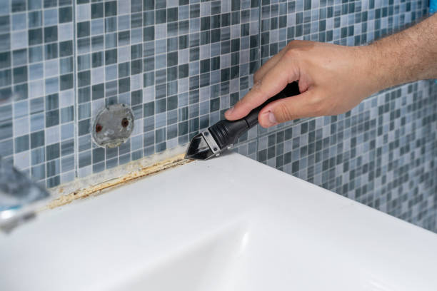 Best Mold Testing  in Duenweg, MO