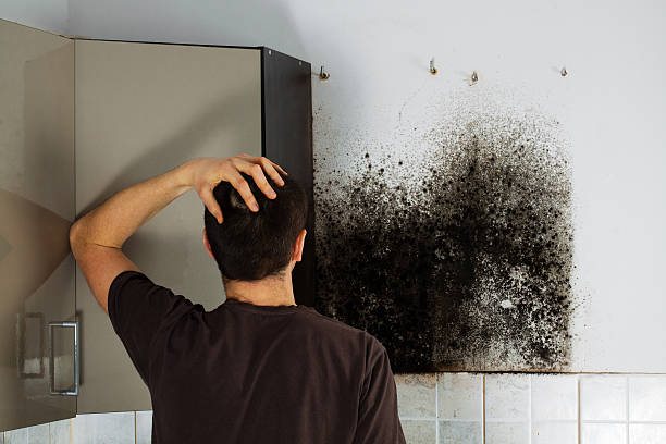 Best Crawl Space Mold Removal  in Duenweg, MO